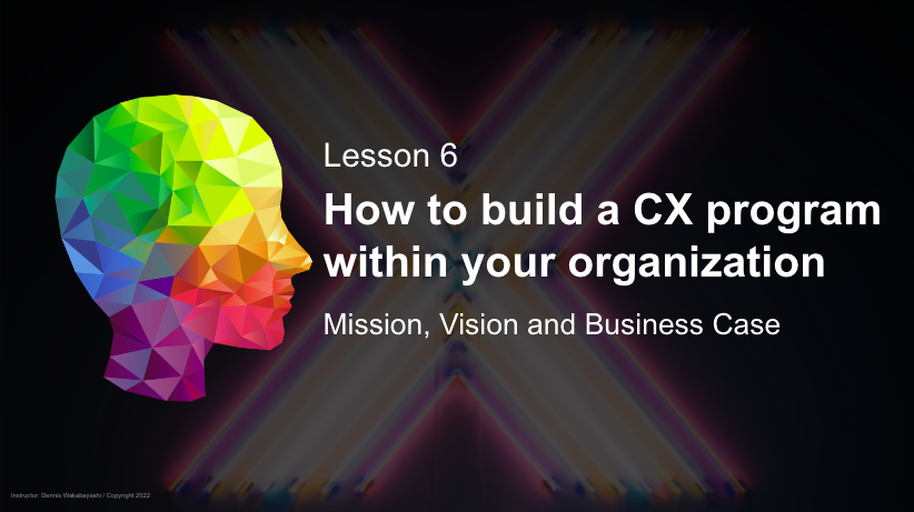 How to build a CX program within your organization